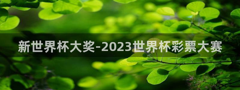 2026年世界杯时间表：新世界杯大奖-2023世界杯彩票大赛