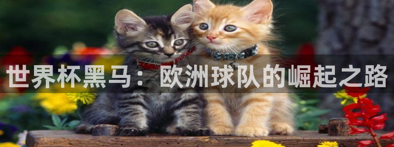 2026世界杯32强对阵图表：世界杯黑马：欧洲球队的崛起之路