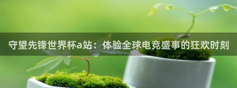 26世界杯：守望先锋世界杯a站：体验全球电竞盛事的狂欢时刻