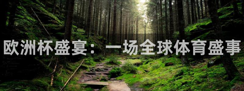 世界杯足球直播：欧洲杯盛宴：一场全球体育盛事