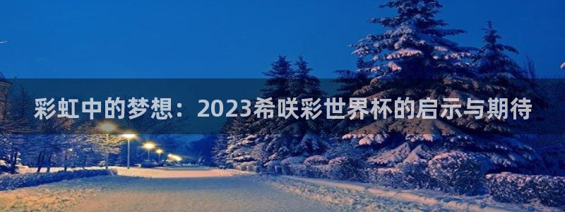免费看足球直播比赛：彩虹中的梦想：2023希咲彩世界杯的启示与期待