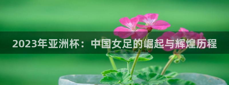 世界杯今日赛程直播：2023年亚洲杯：中国女足的崛起与辉煌历程