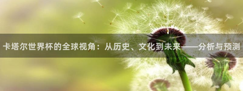 免费足球比赛直播高清：卡塔尔世界杯的全球视角：从历史、文化到未来——分析与预测