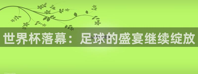 2006年世界杯冠军：世界杯落幕：足球的盛宴继续绽放