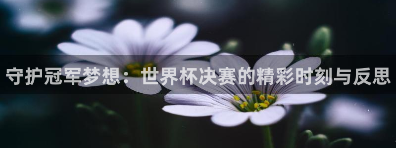 世界杯直播网：守护冠军梦想：世界杯决赛的精彩时刻与反思