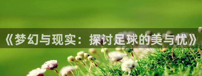 世界杯预选赛赛程：《梦幻与现实：探讨足球的美与忧》