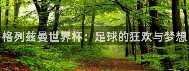 2026世界杯赛程：格列兹曼世界杯：足球的狂欢与梦想